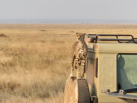 Vision Safari & Tours-阿鲁沙必去景点