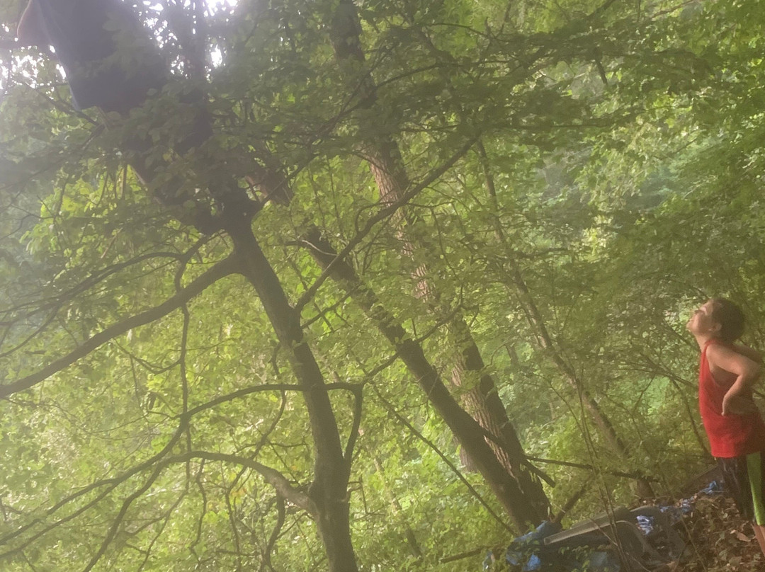 Military Aviation Museum-弗吉尼亚海滩必去景点