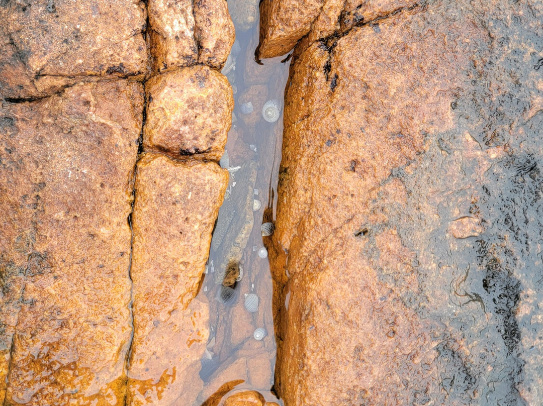 Wonderland Trail-Southwest Harbor必去景点