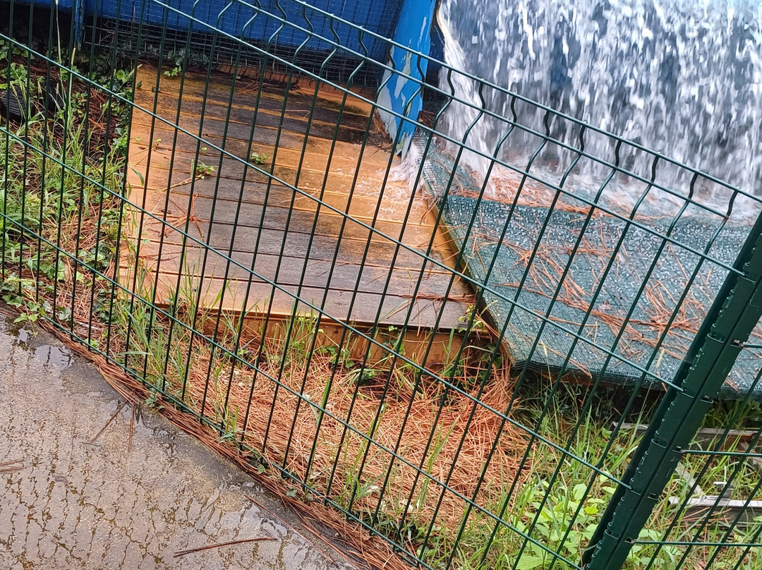 Aquatic Landes-Labenne必去景点