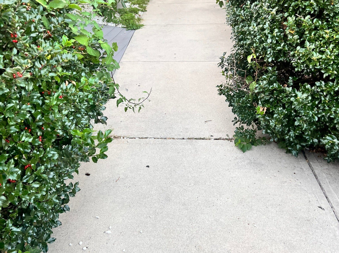 Candlewood Suites-West Springfield by IHG主图