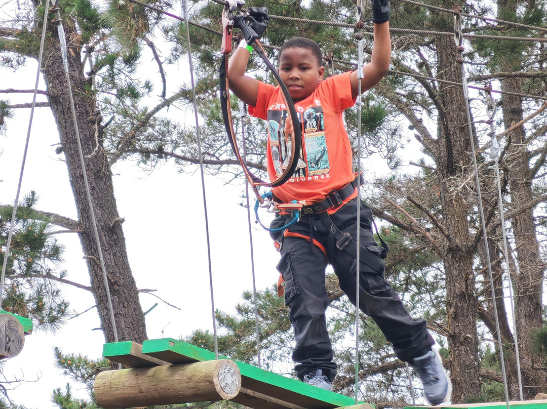 Acrobranch Garden Route-荒野必去景点