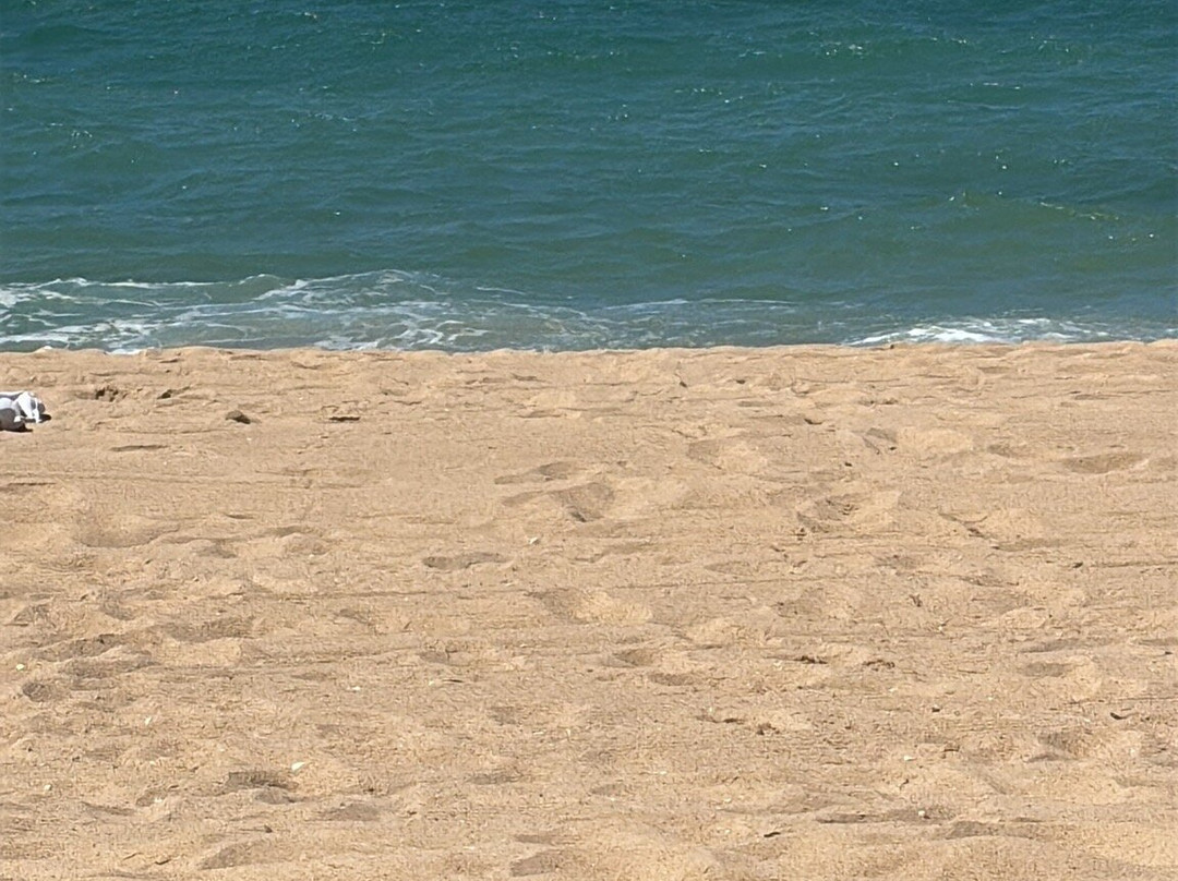 Praia de Faro-法罗必去景点