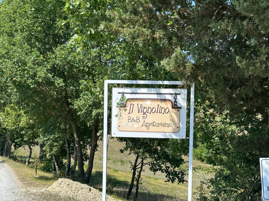 Il Vignolino Bed & Breakfast主图