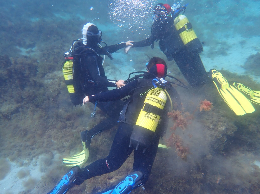 Dive Inn-Villaverde必去景点