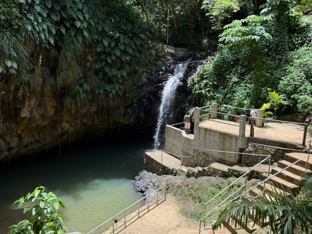 Ace Ventura Taxi & Tours-St. George's必去景点