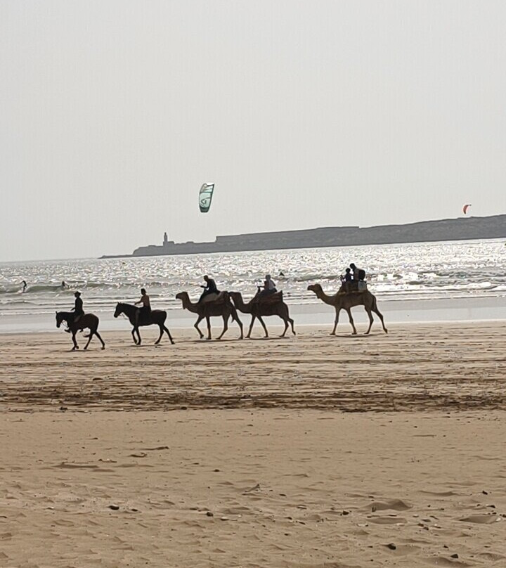 atlas trek experience-伊姆利勒必去景点