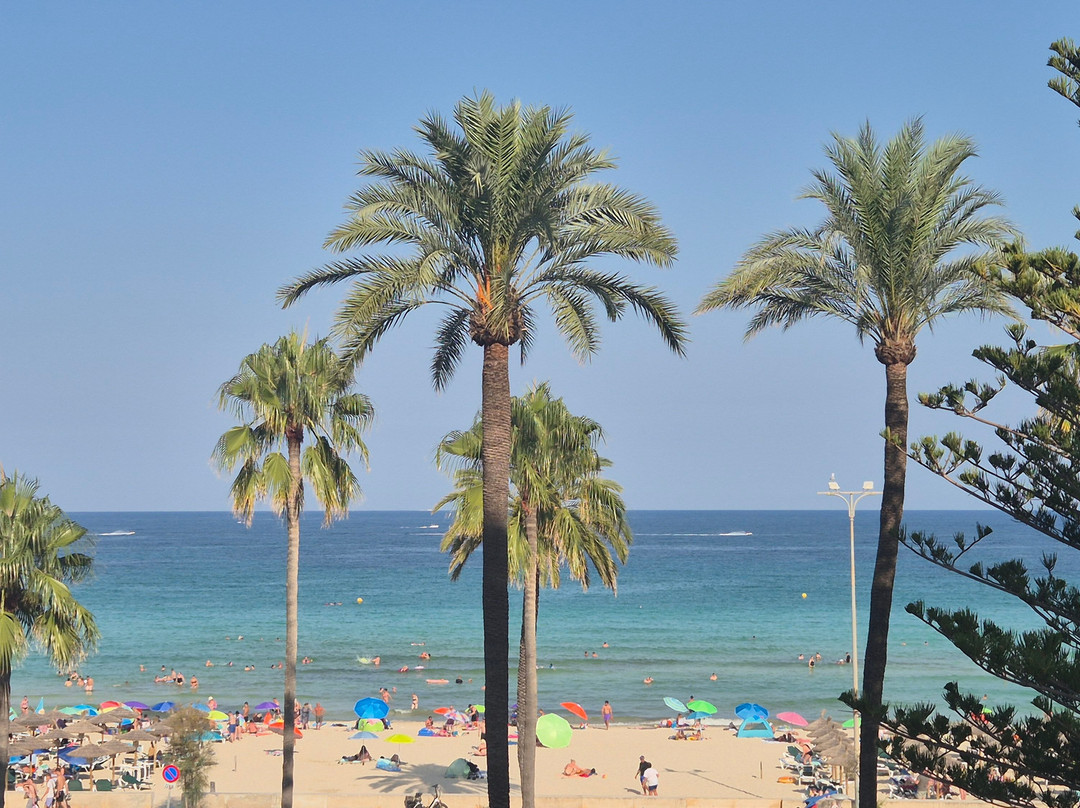 CM Playa del Moro主图