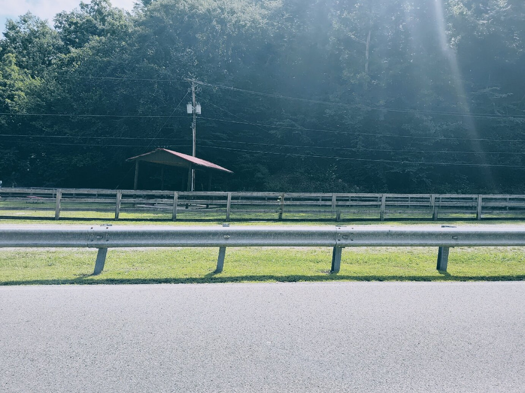 Bob Amos Park-Pikeville必去景点