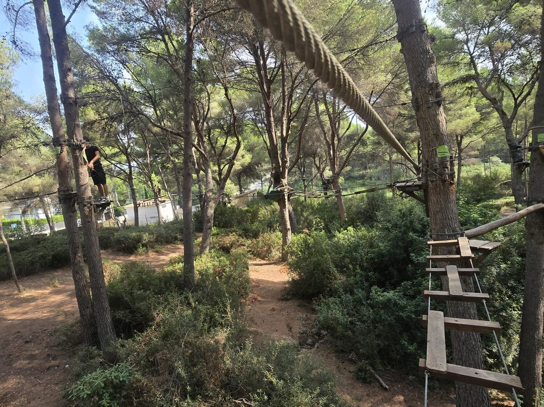 Jungle Parc Mallorca-圣庞沙必去景点
