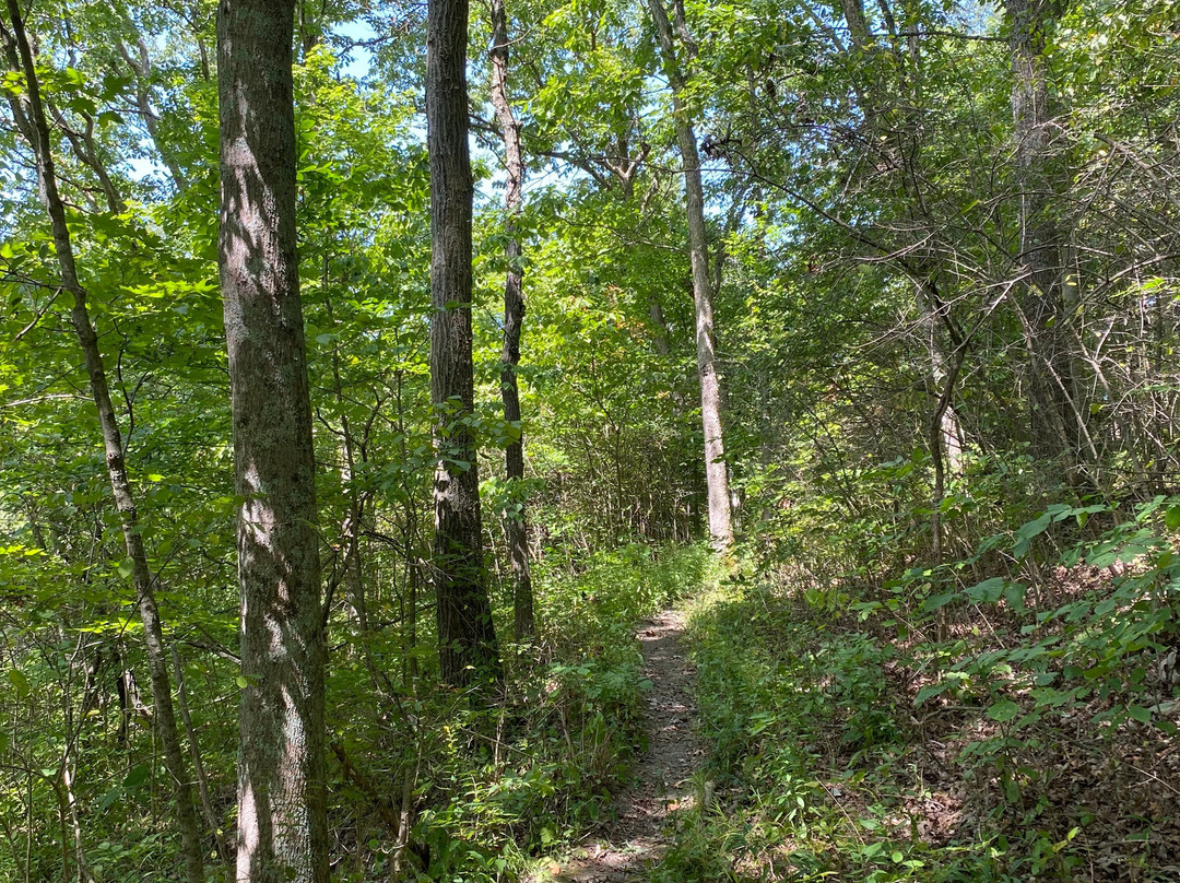 Fort Ancient State Memorial-Oregonia必去景点