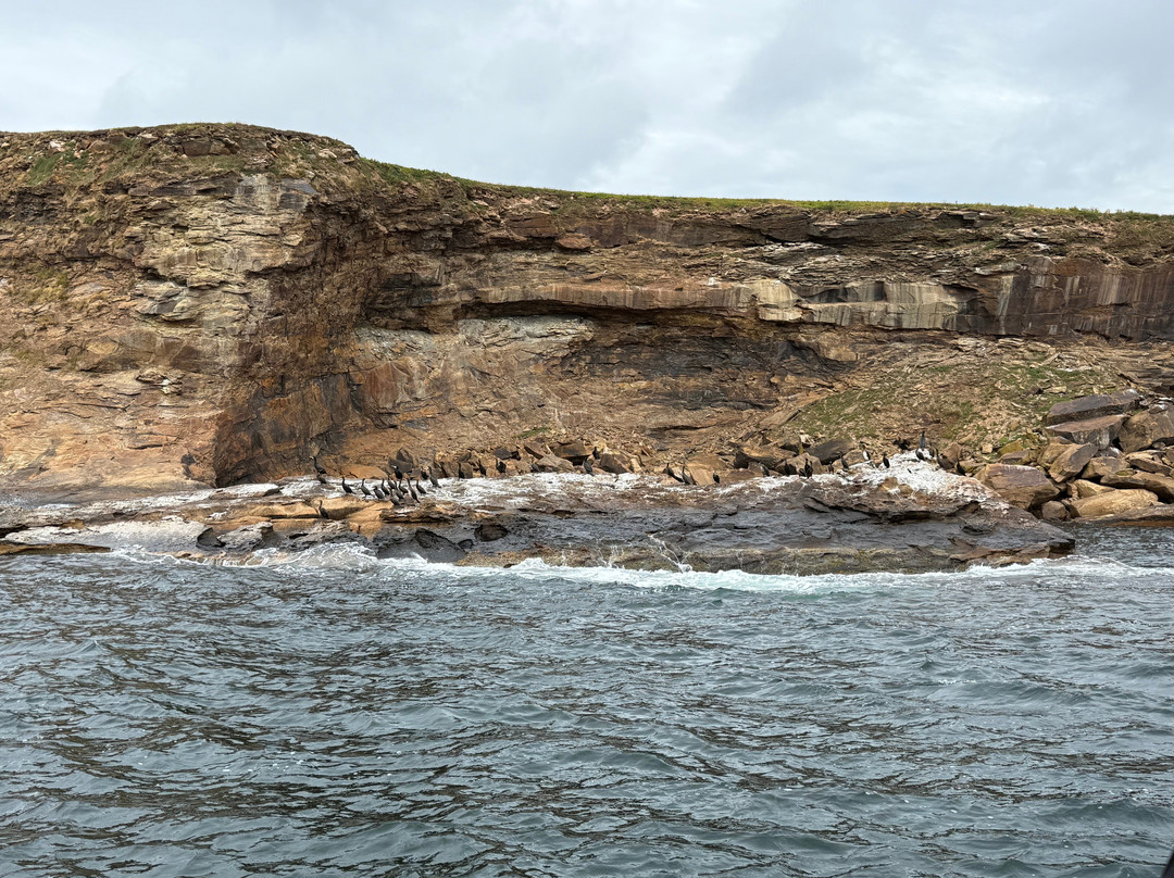 Bird Island Boat Tour-Big Bras d'Or必去景点