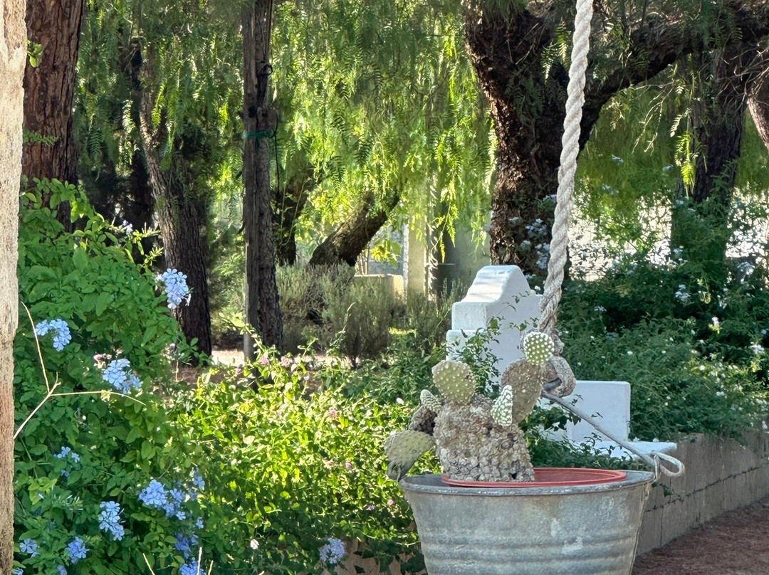 Tenuta Castelle - Relais di charme主图