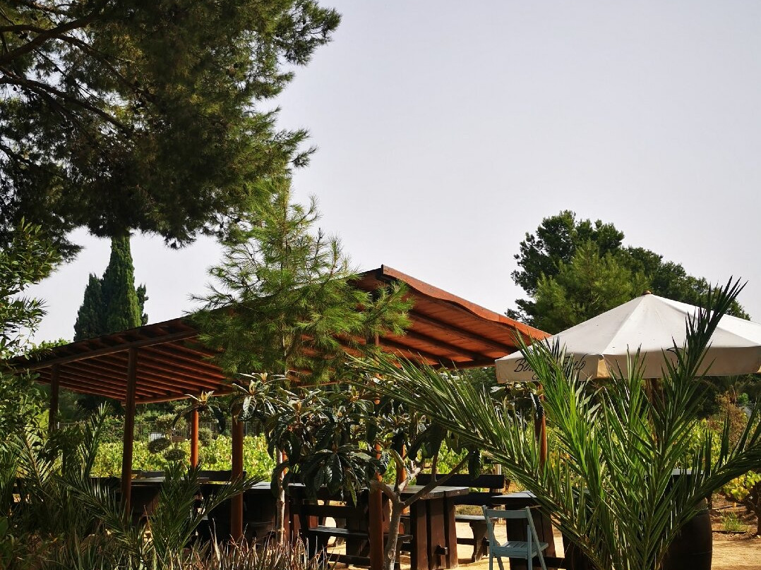 Bodegas Faelo-埃尔切必去景点