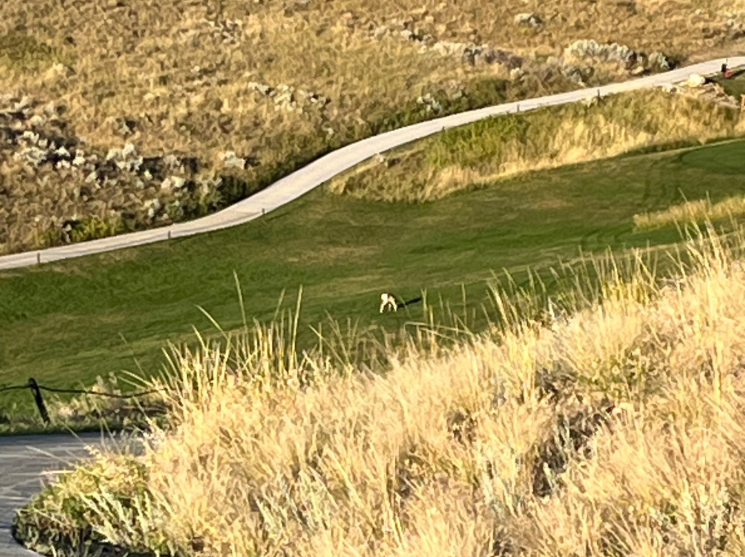 Buffalo Golf Club-布法罗必去景点