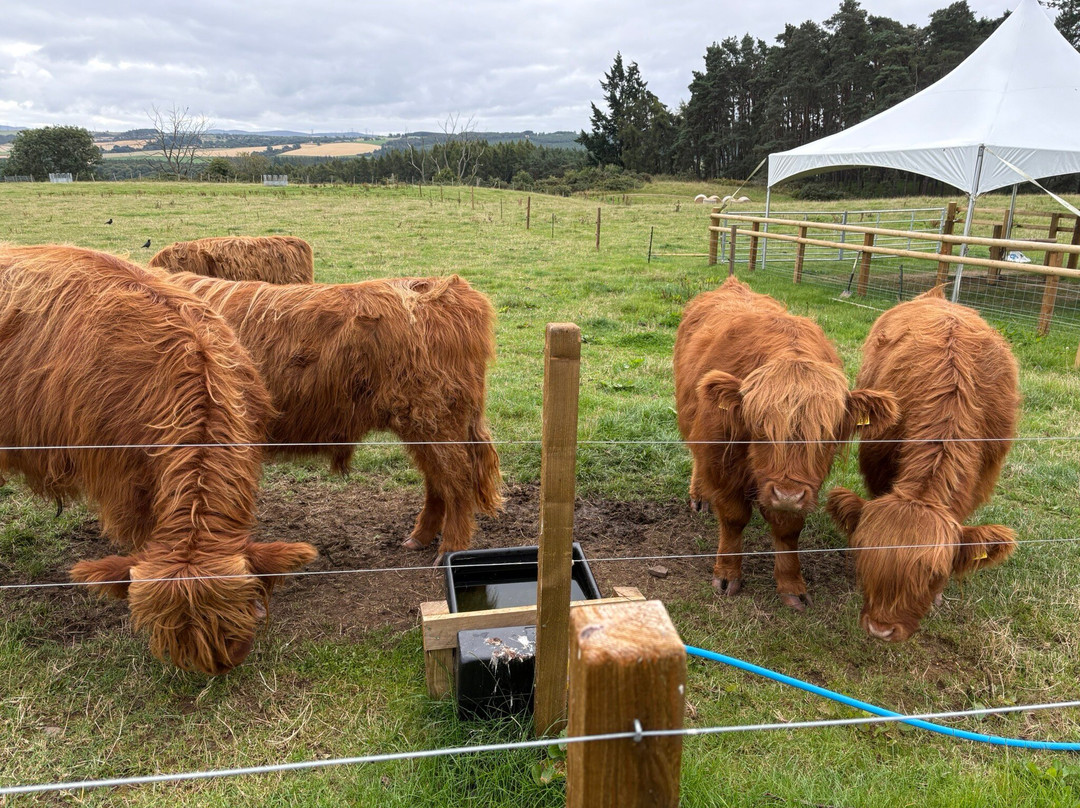 Farm Ness-因弗内斯必去景点