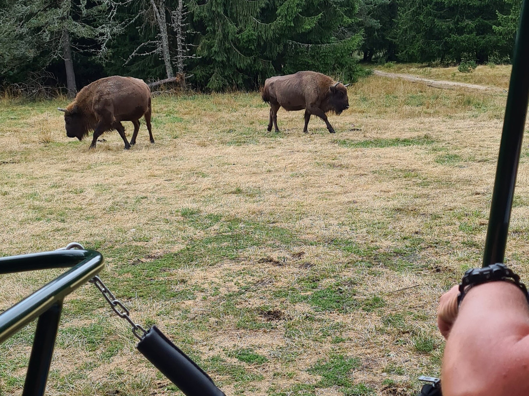Réserve Bisons d'Europe-Sainte-Eulalie必去景点