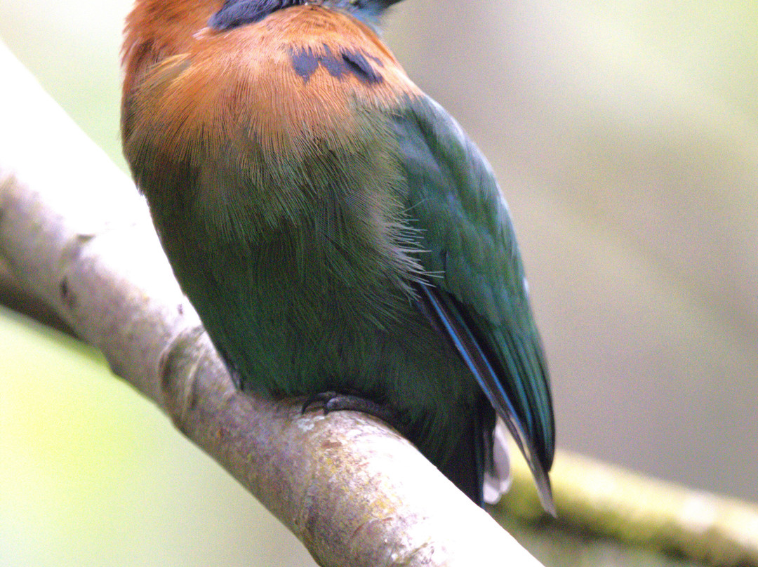 St Costa Rica-Gulf of Papagayo必去景点
