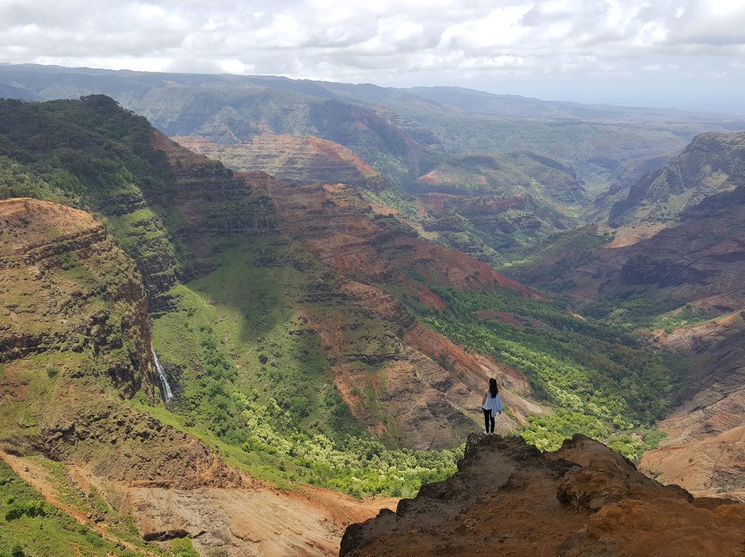 The West Inn Kauai主图