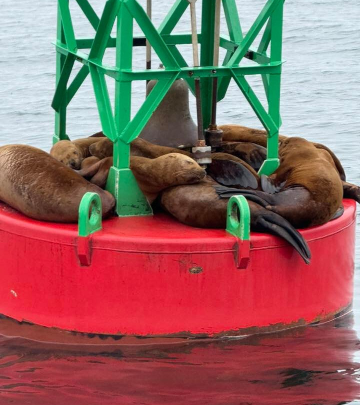 Rum Runner Charters-朱诺必去景点