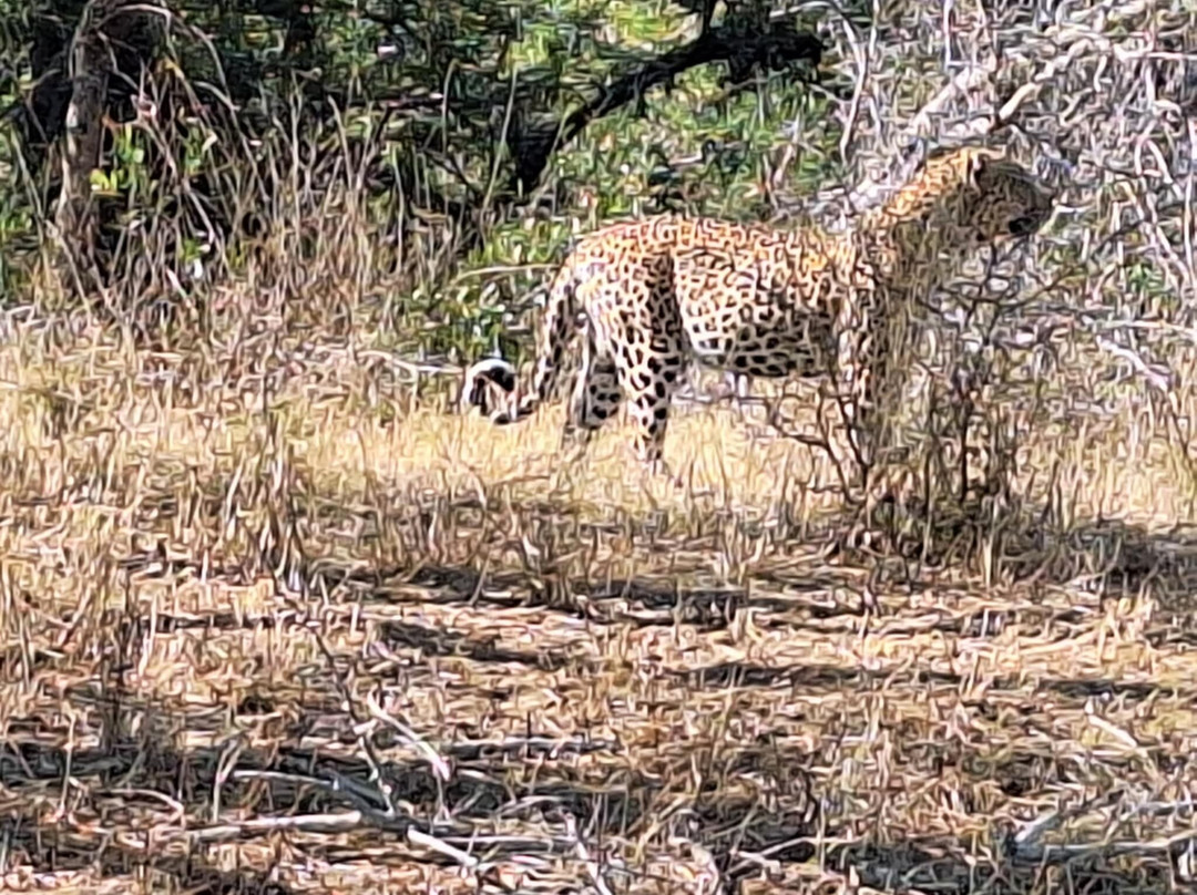 Dél-afrika-mozambik-尼斯普鲁特必去景点
