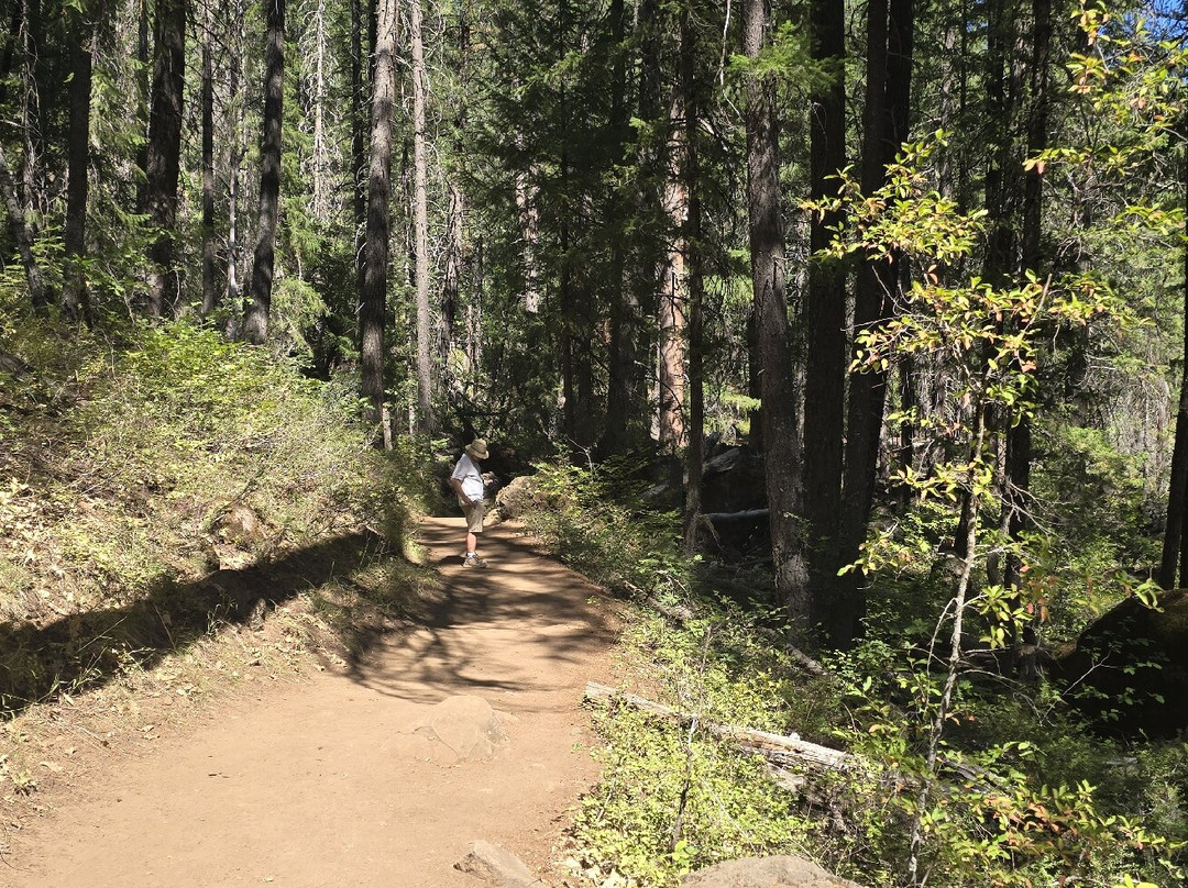 McCloud River’s Three Waterfalls-McCloud必去景点