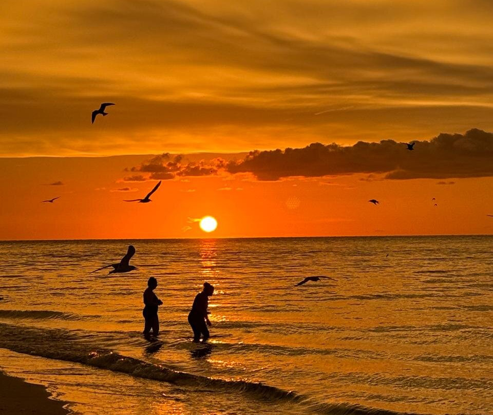 Manatee Public Beach-Holmes Beach必去景点