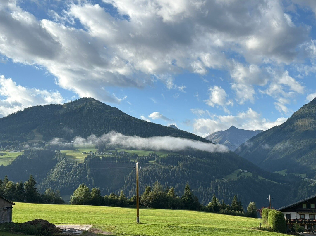 Premium Wanderhotel Steirerhof主图