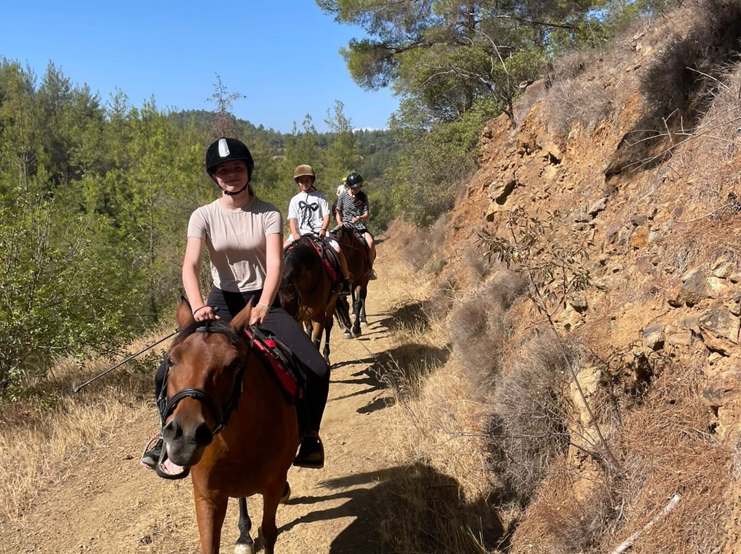 Maria's Horse Trekking-Lysos必去景点