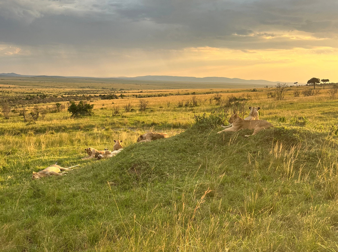 Lenchada Safaris-内罗毕必去景点