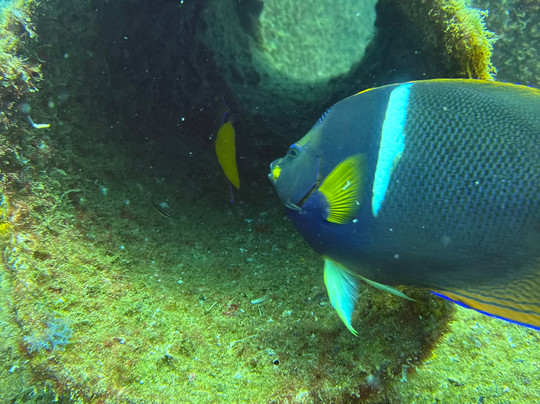 Xoc Baja Tours-拉巴斯必去景点