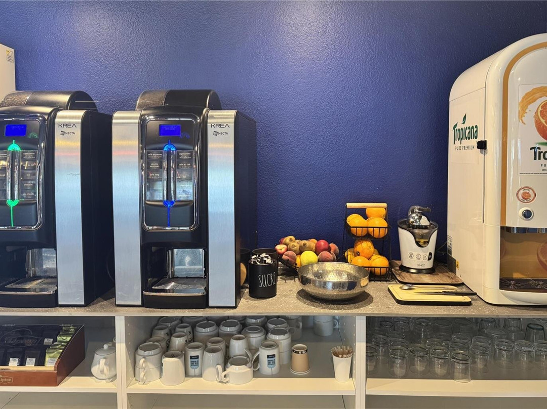 基里亚德布丽芙加拉德中央酒店