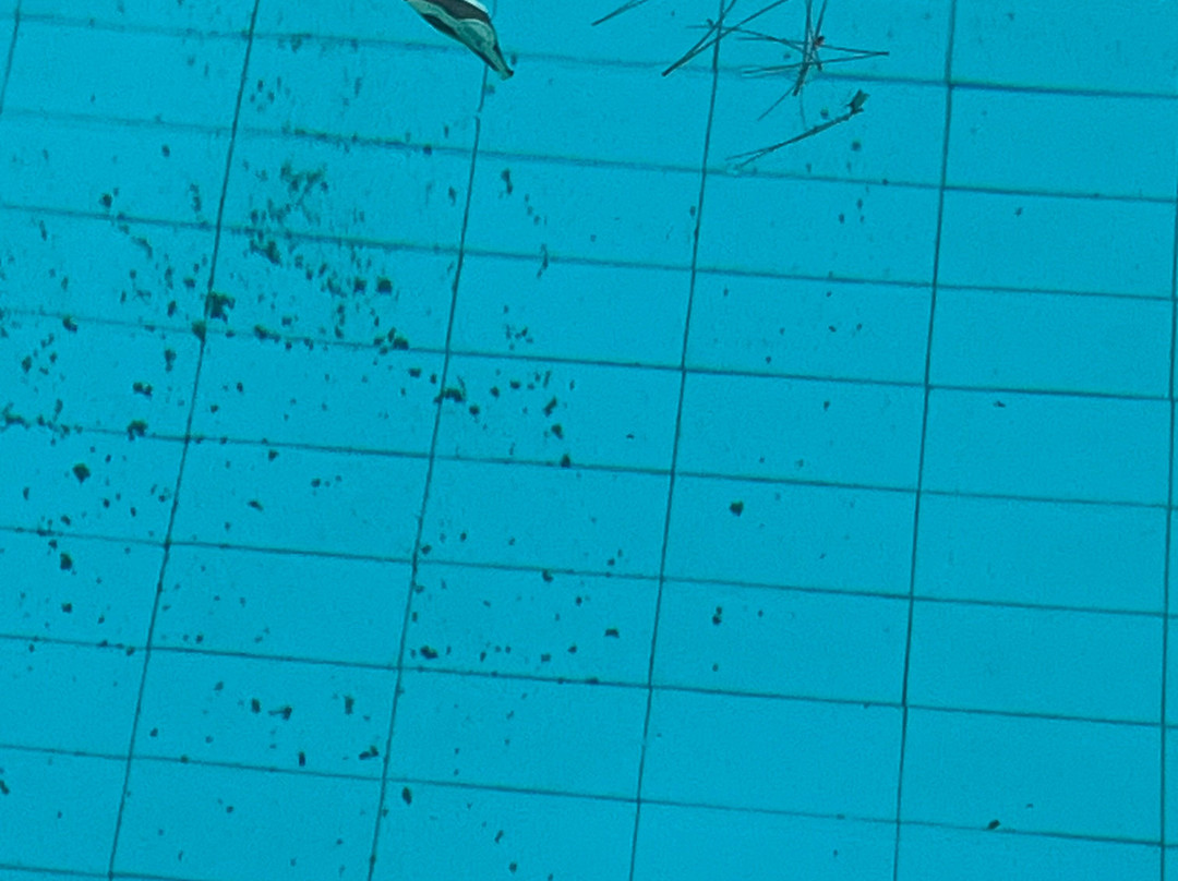 Campoverde Apartments主图