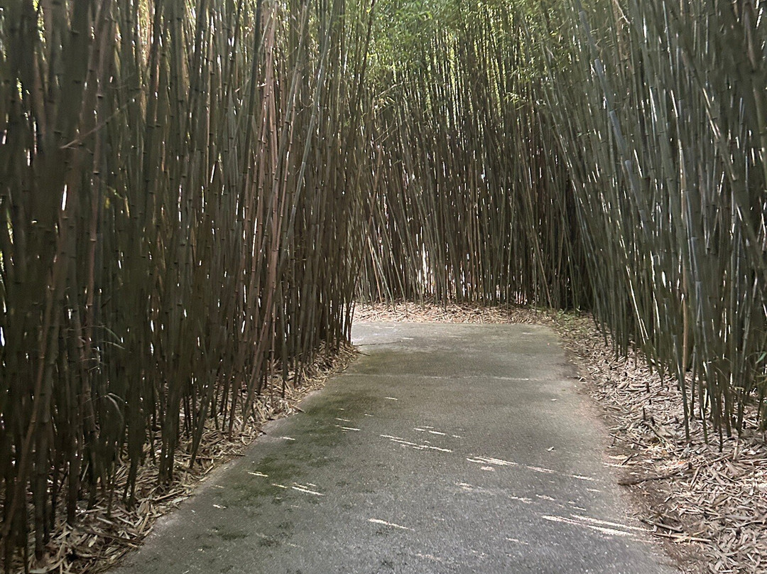 Labirinto Della Masone-丰塔内拉托必去景点