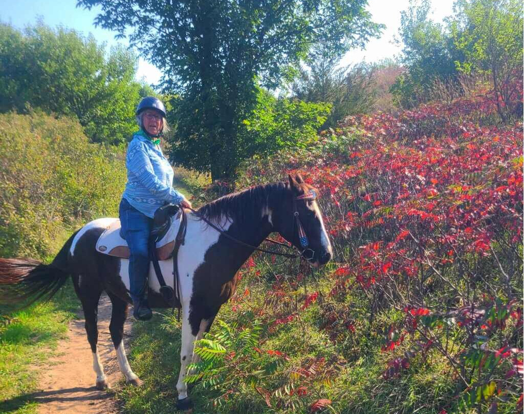 Christine's Horseback Riding-卡尼必去景点