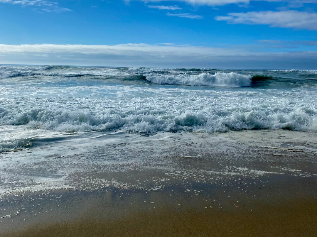 Praia da Costa Nova-Gafanha da Encarnacao必去景点
