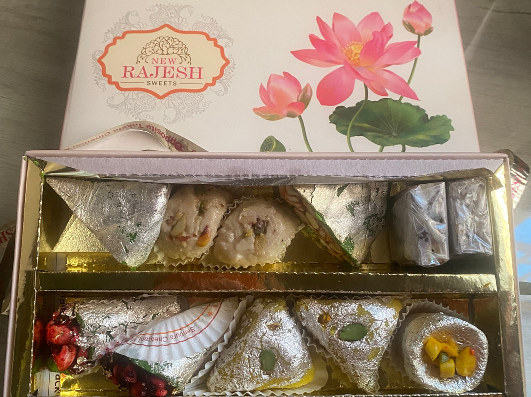 India Private Tour Driver-新德里必去景点