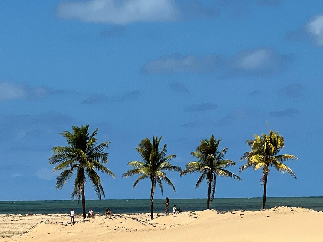 Foz do Rio São Francisco-Piacabucu必去景点
