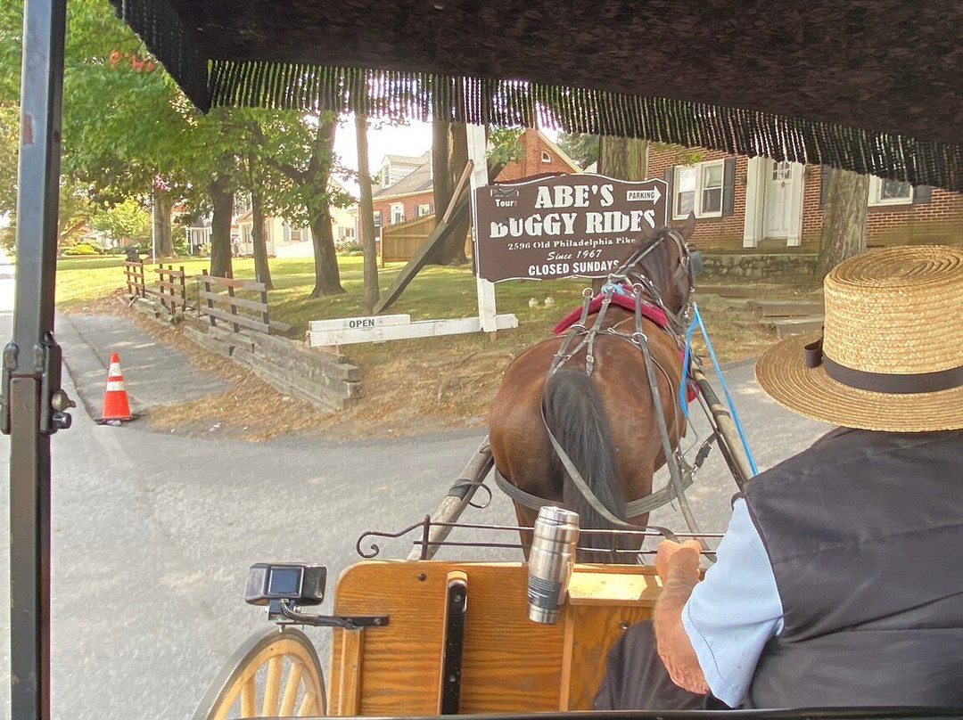 Abe's Buggy Rides-Bird in Hand必去景点