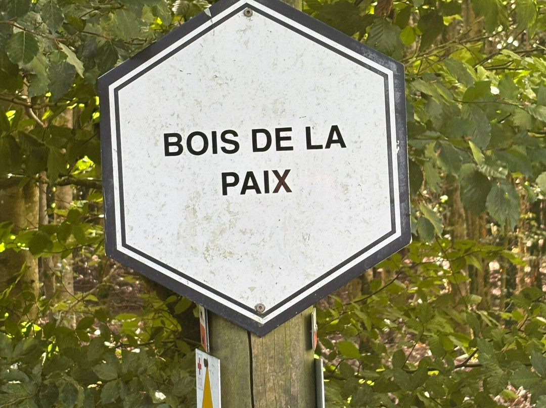 Le Bois de la Paix-巴斯东必去景点