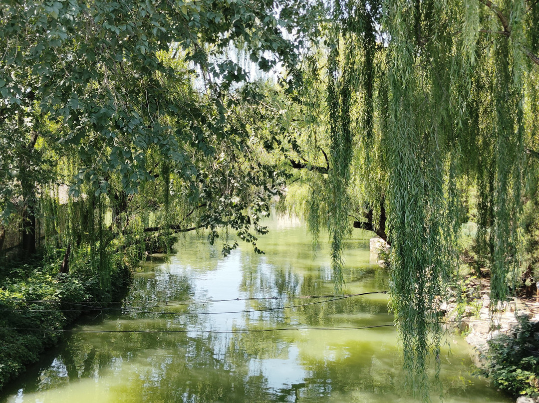 Lead to China-合肥市必去景点