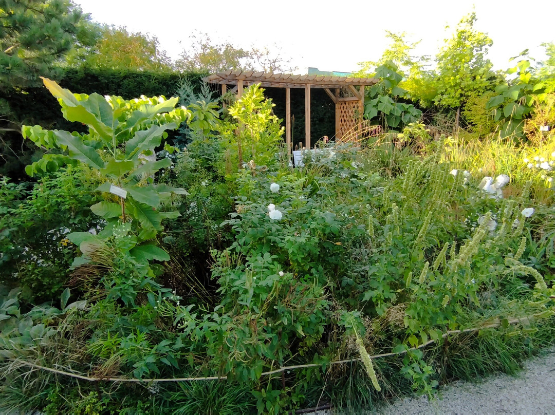 Slottstradgarden-马尔默必去景点