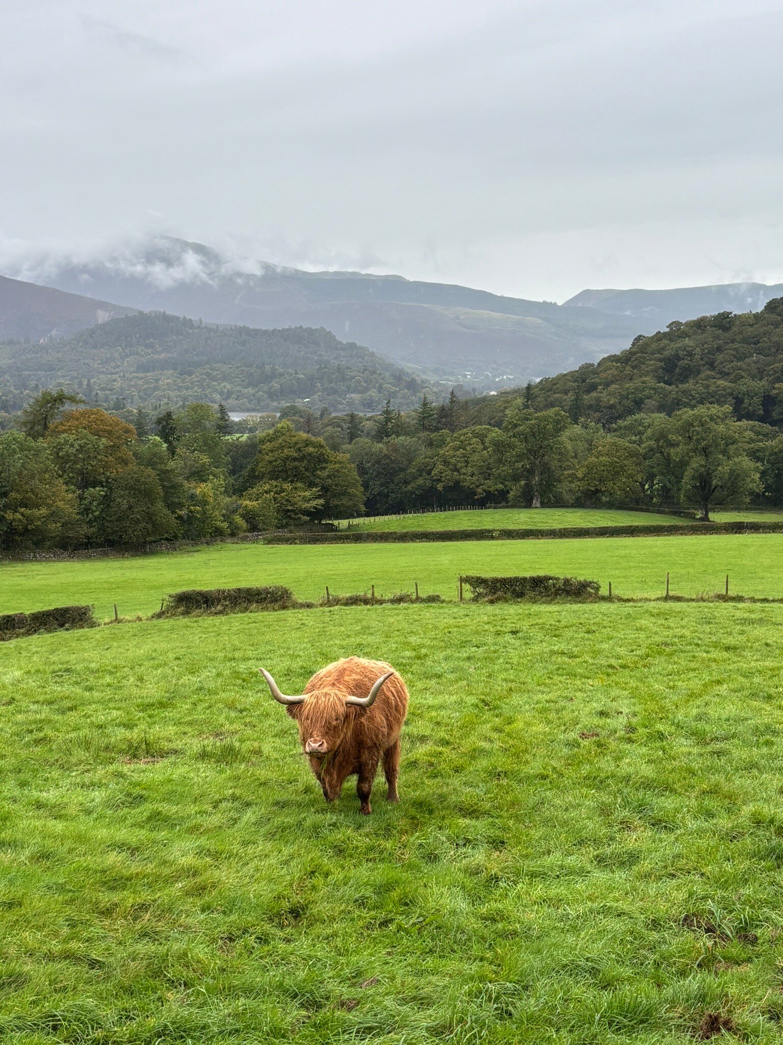 Springs Farm Guesthouse-官方
