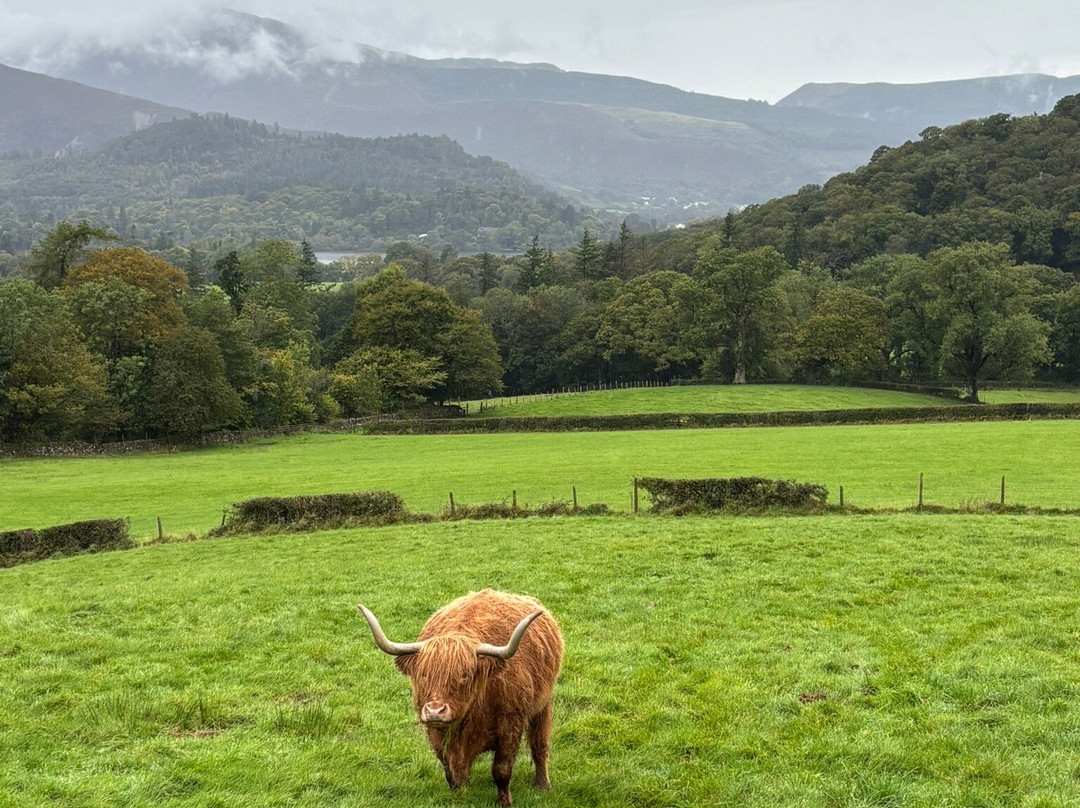 Springs Farm Guesthouse主图