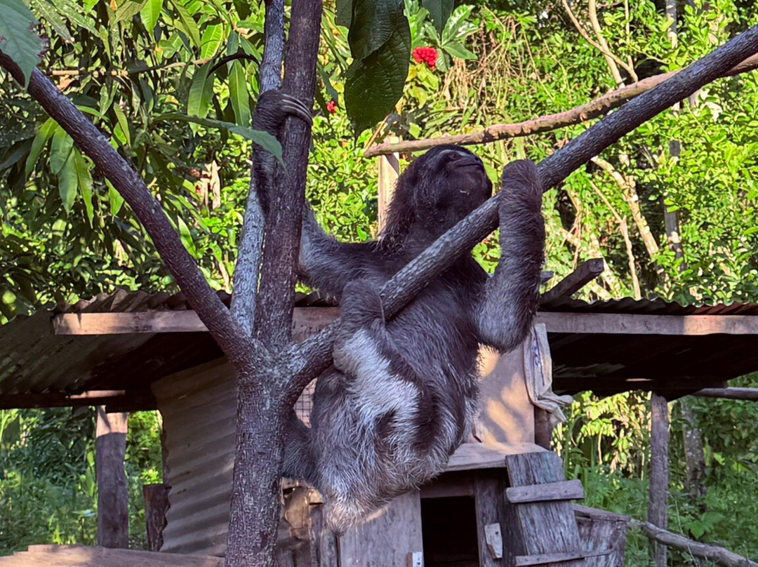 Jairo Mejia Prado-伊基托斯必去景点