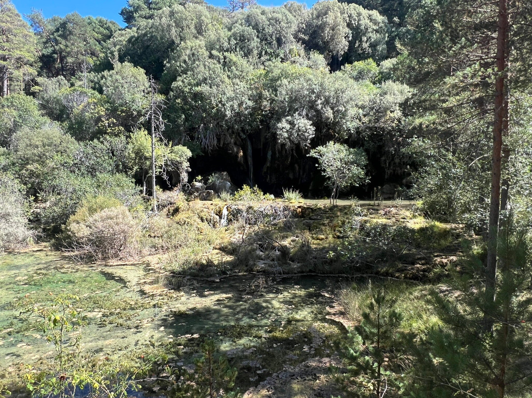 Nacimiento Del Rio Cuervo-Vega del Codorno必去景点