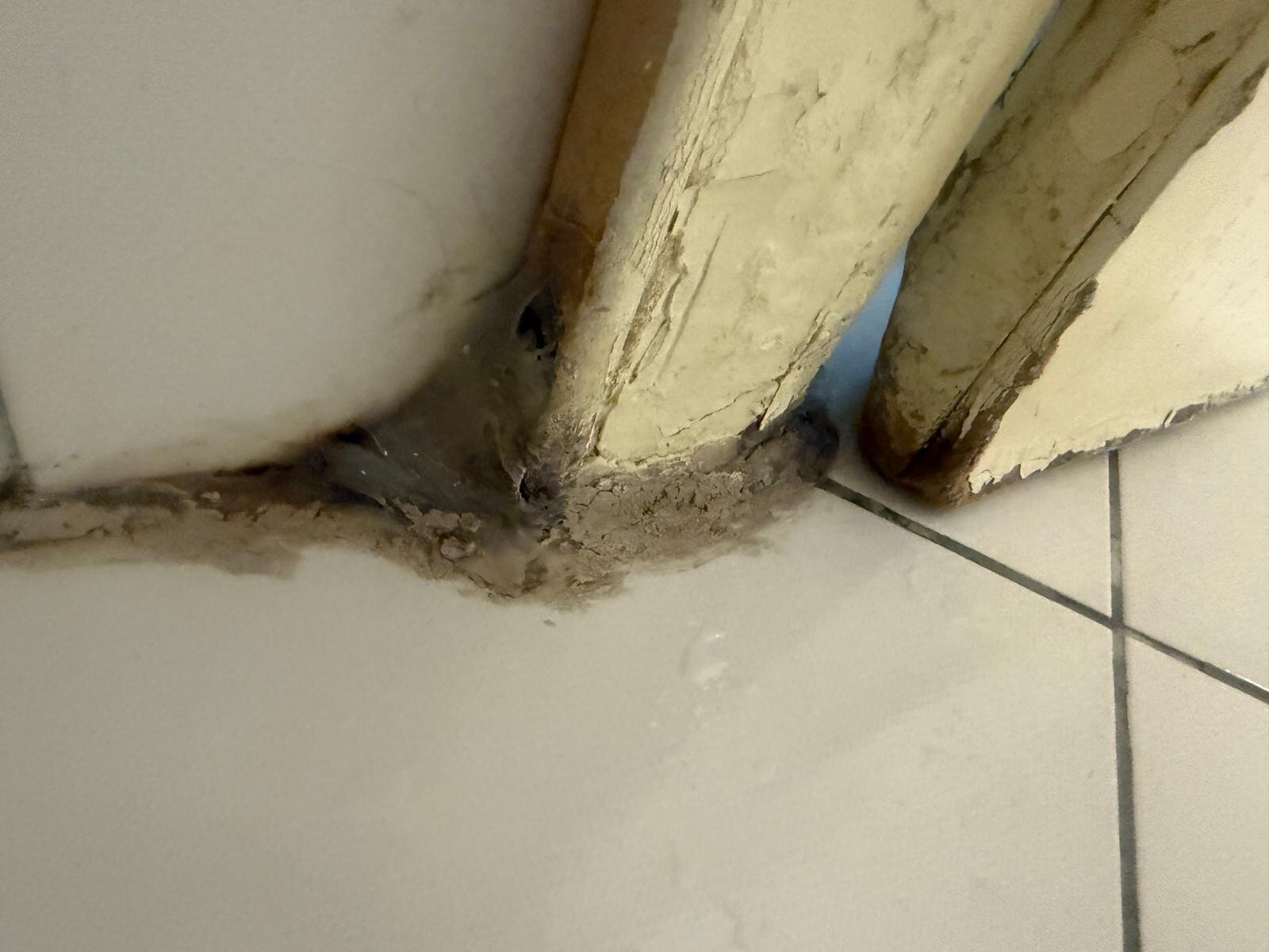 斯克西酒店-官方