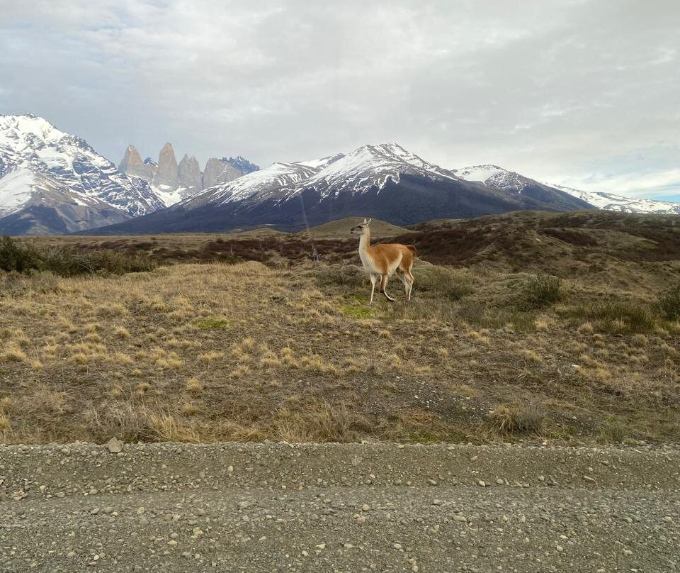 W Circuit Patagonia-纳塔莱斯港必去景点