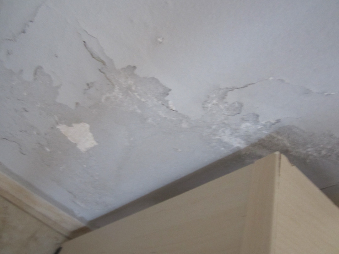 Plessas Palace Hotel主图