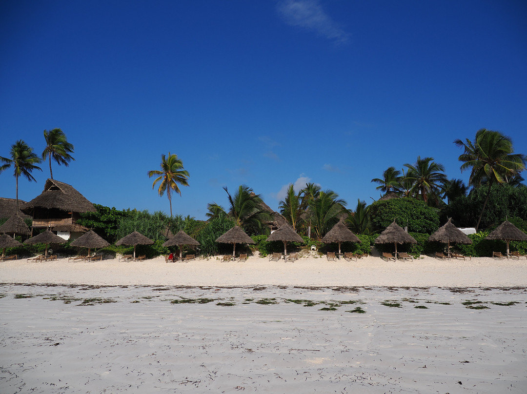 Zanzibar Queen Hotel主图